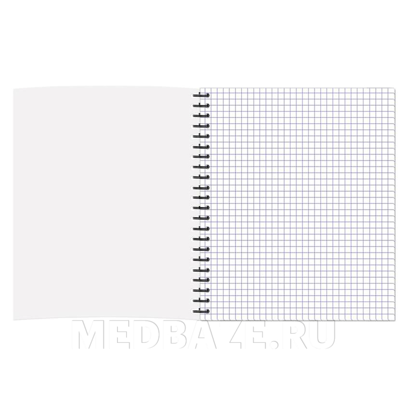 Тетрадь общая Графо 48 листов, А4, клетка, спираль (129819)