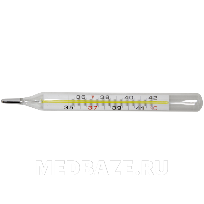 Термометр безртутный в прозрачном футляре (600131), ИмпэксМед