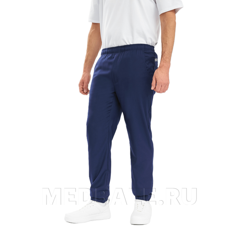 Джоггеры мужские Тезис TZ628, темно-синий