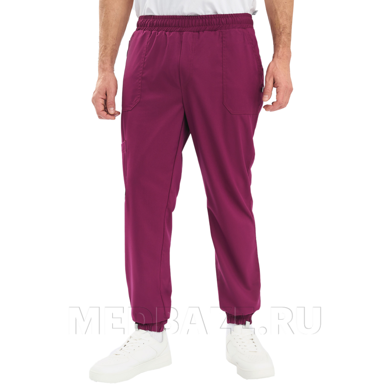 Джоггеры мужские Тезис TZ625, винный
