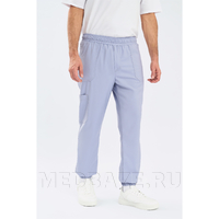 Джоггеры мужские Тезис TZ625, серый