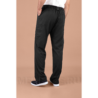 Брюки мужские Тезис TZ610, черный