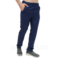 Брюки мужские Тезис TZ620, темно-синий