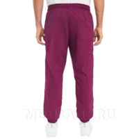 Джоггеры мужские Тезис TZ625, винный
