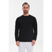 Лонгслив мужской Тезис TZ512, черный