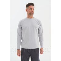 Лонгслив мужской Тезис TZ512, серый