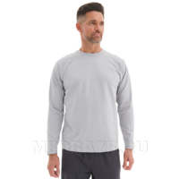 Лонгслив мужской Тезис TZ512, серый